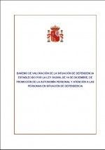 MANUAL DE USO PARA EL BAREMO DE VALOR DE LA DEPENDENCIA by Gobierno de España