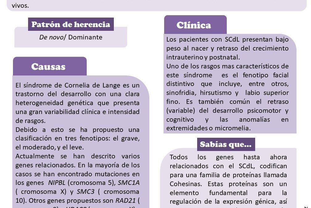 BOLETIN SÍNDROME CORNELIA DE LANGE by Asociación Española Síndrome Cornelia de Lange