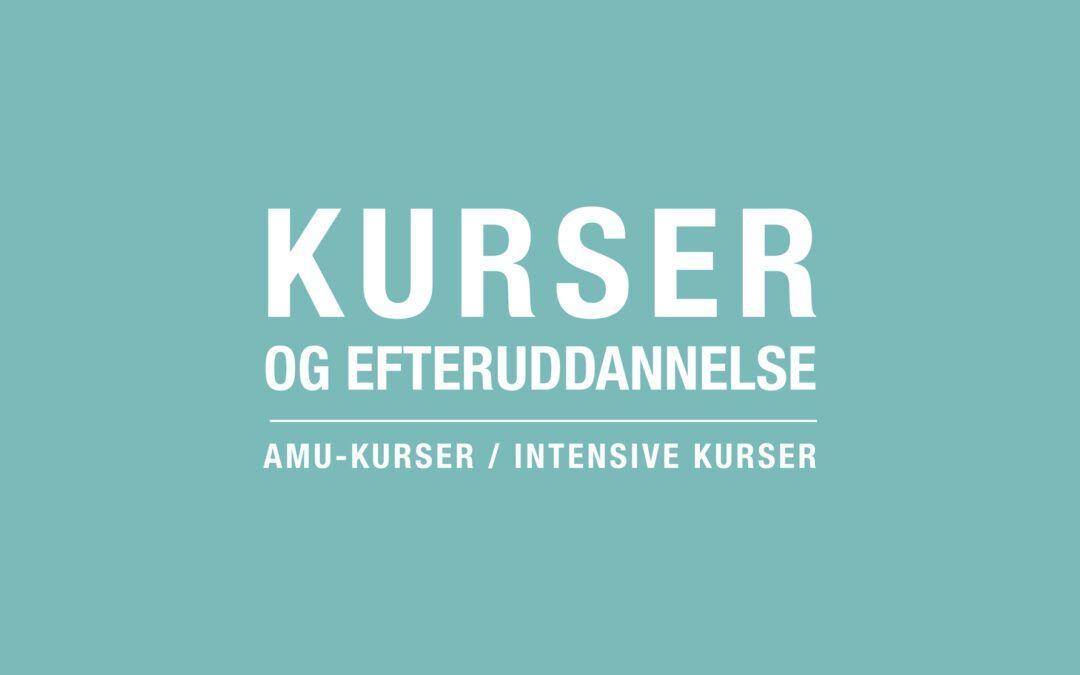 KURSER OG EFTERUDDANNELSE 2009 by Dovblindecentret